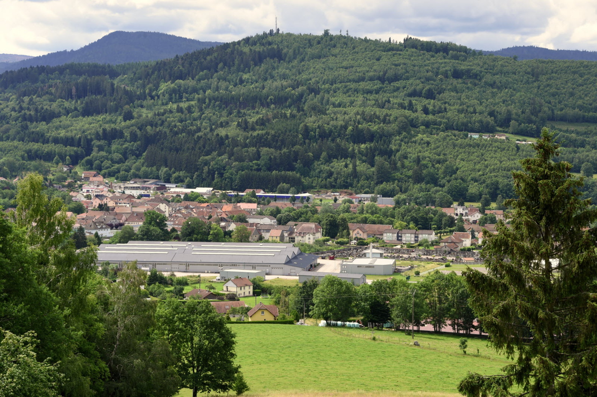 Diagnostic Immobilier à Fraize : Faites Confiance à Bimmo Diagnostic