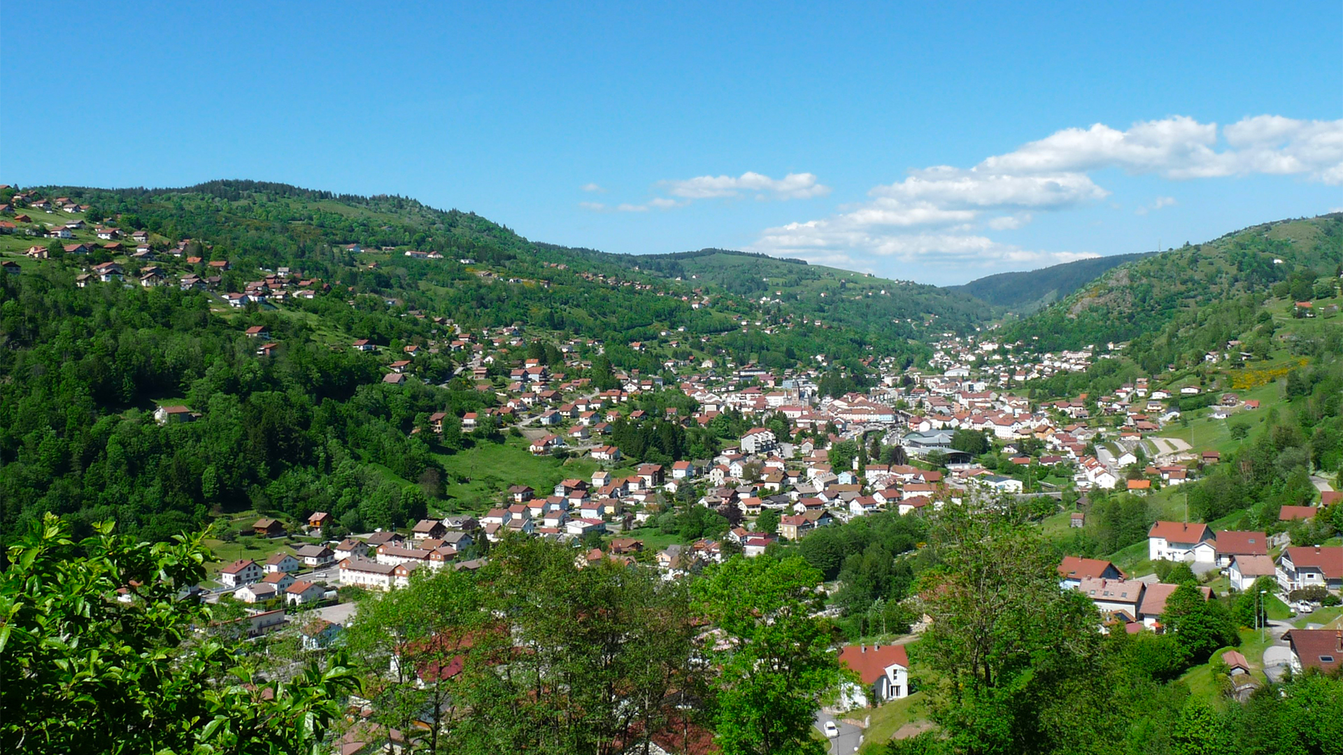 Diagnostic Immobilier à La Bresse : Faites Confiance à Bimmo Diagnostic