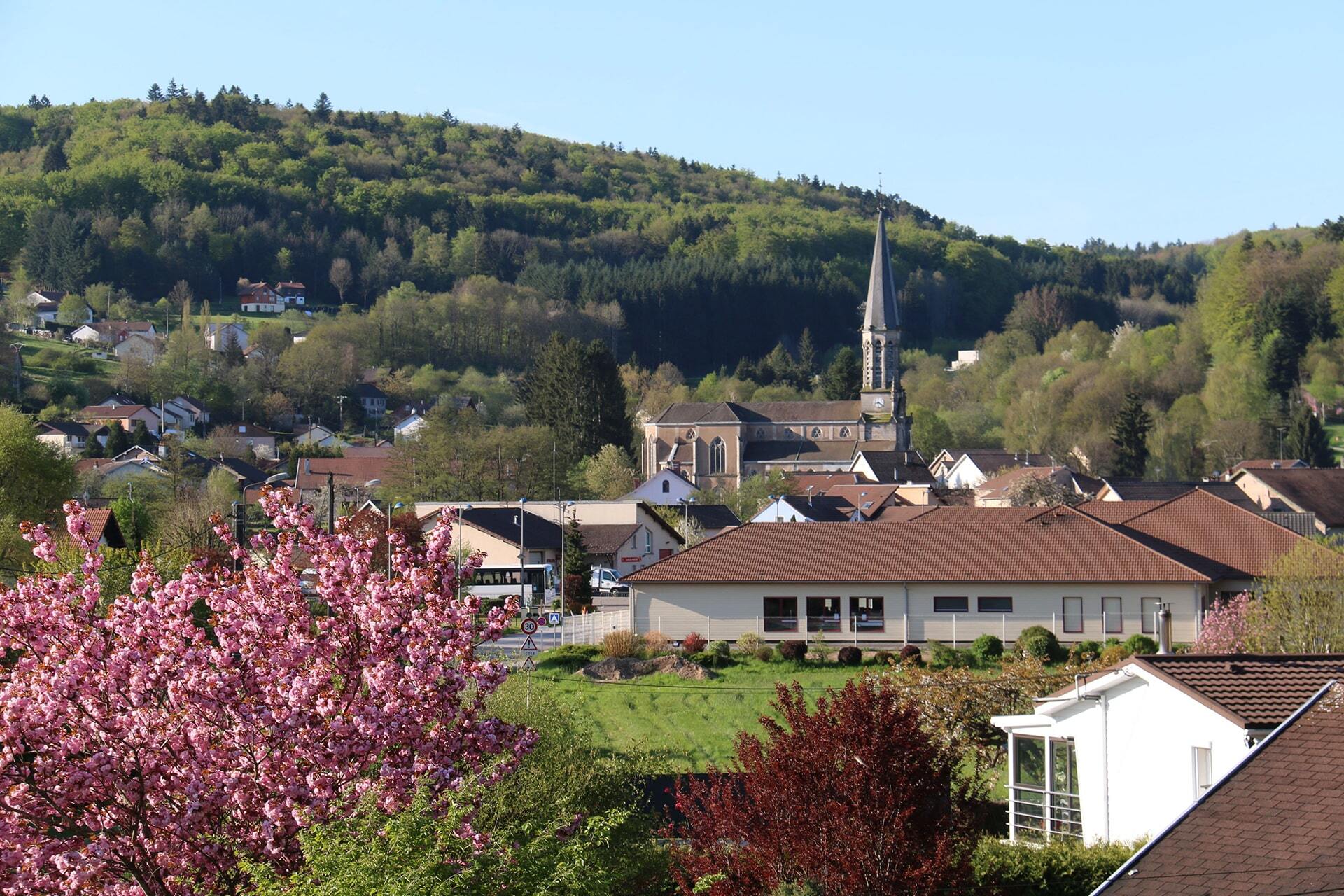 Diagnostic Immobilier à Raon-aux-Bois : Faites Confiance à Bimmo Diagnostic