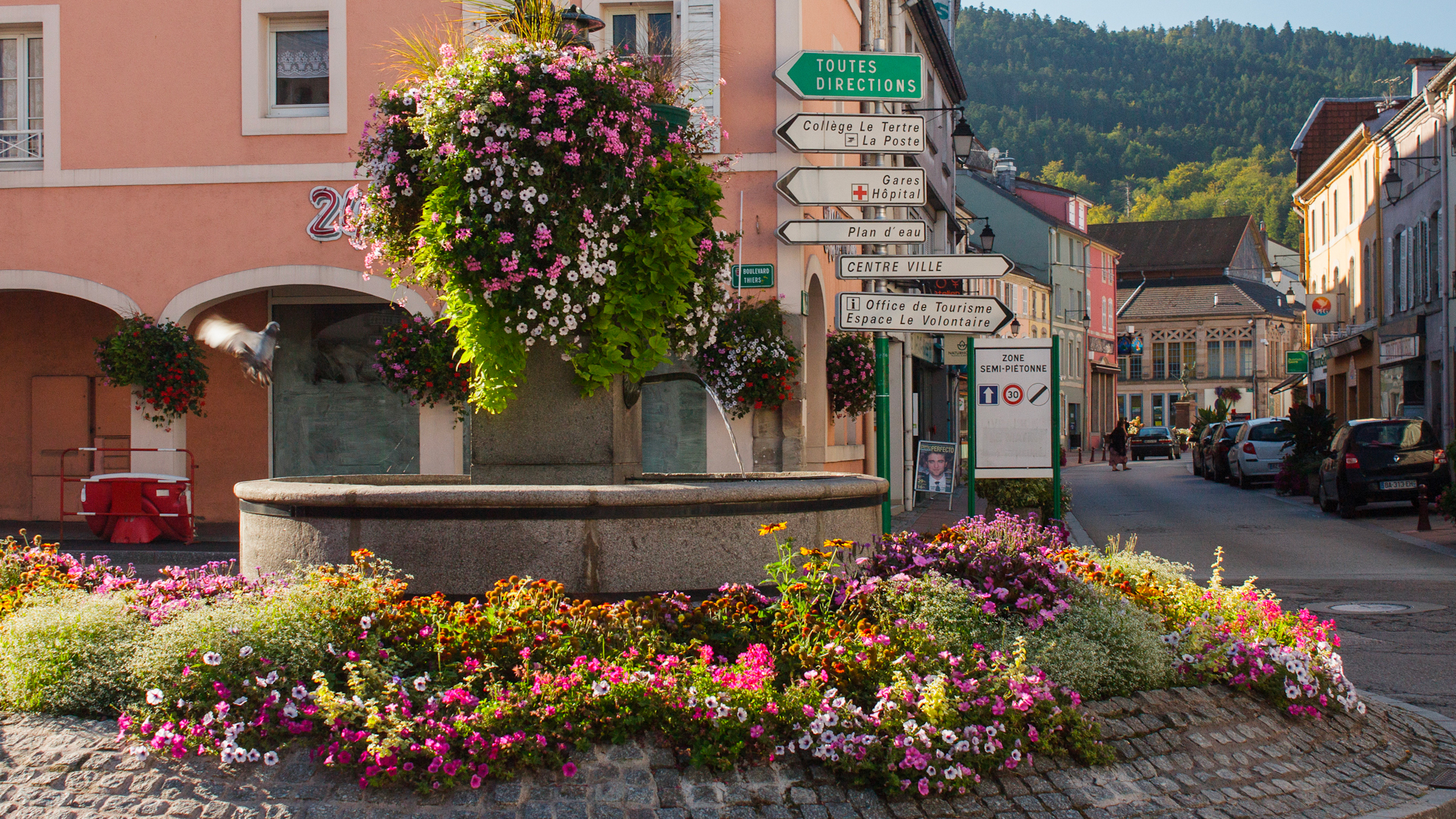 Diagnostic Immobilier à Remiremont : Faites Confiance à Bimmo Diagnostic