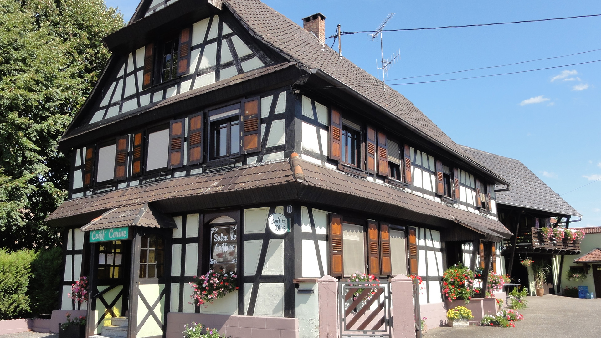 Diagnostic Immobilier à Sessenheim : Faites Confiance à Bimmo Diagnostic